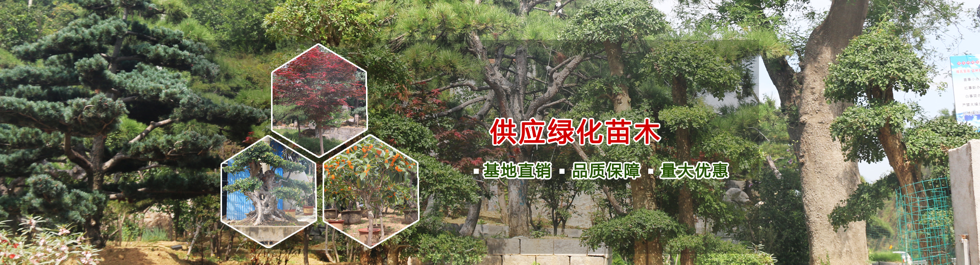 山東岱東人力資源管理有限公司 